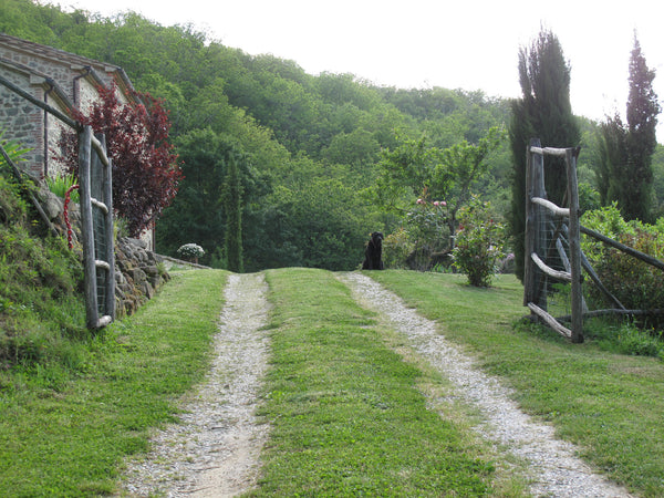 Custom Product Design